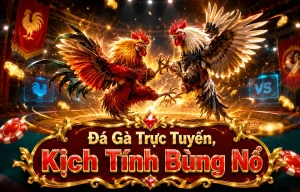 Giao diện Đá Gà tại descontaostore